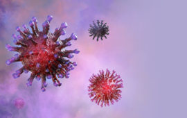 Destruição de hábitats cria condições ideais para o surgimento do coronavírus